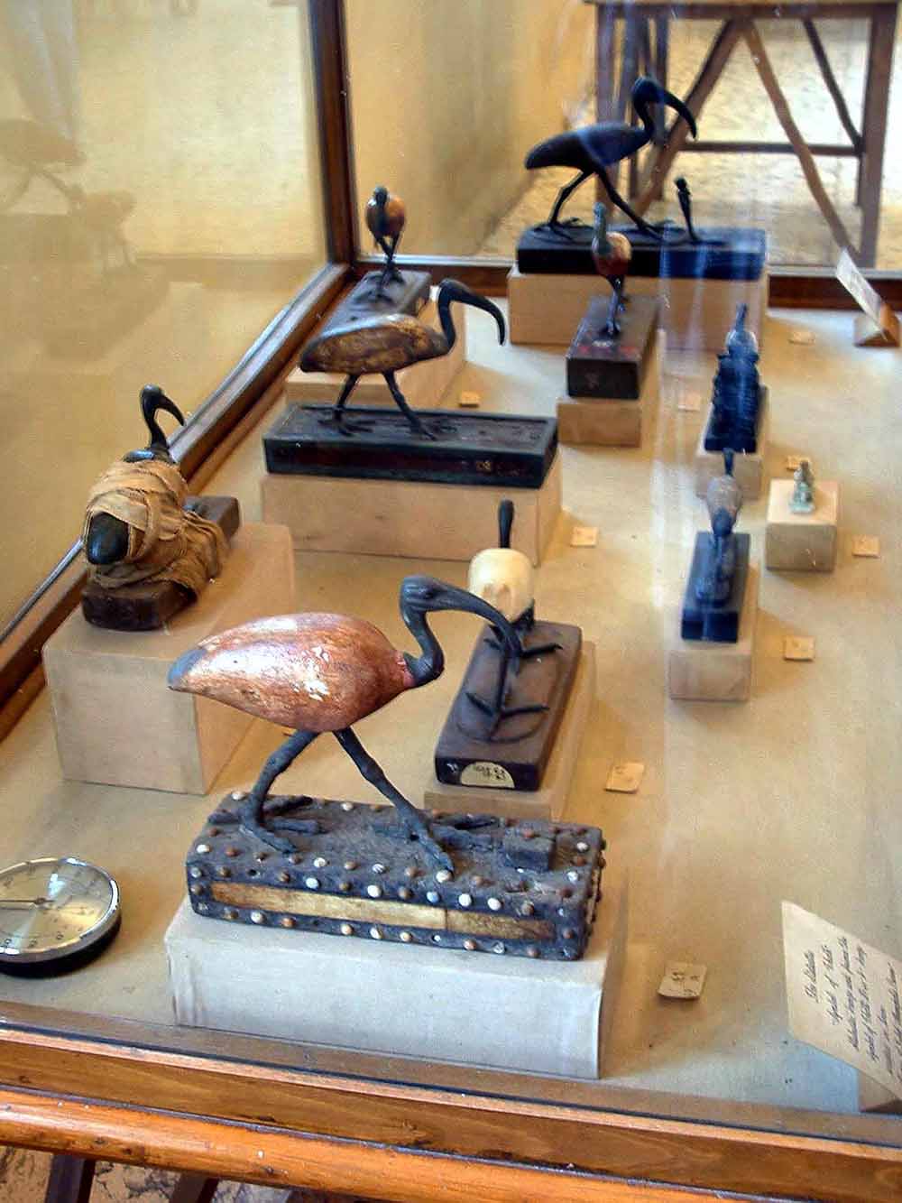 208 - Ibis Statues - Mallawi Museum