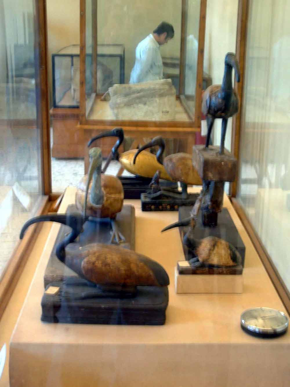 209 - Ibis Statues - Mallawi Museum