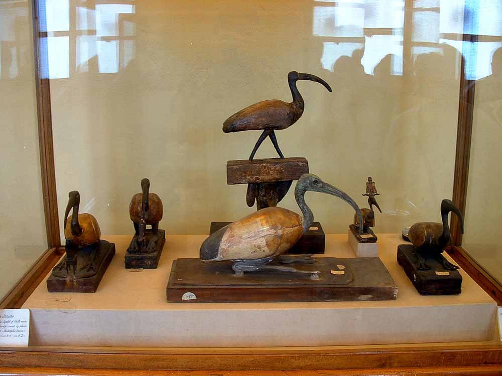 211 - Wood Bronze Plaster Ibis Statues - Mallawi Museum