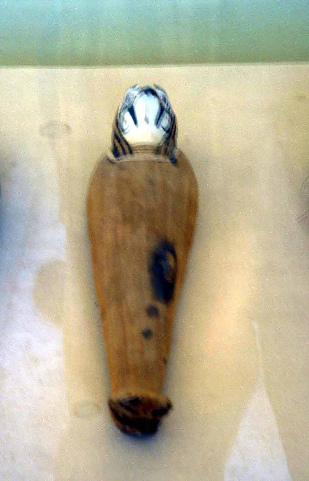 213  - Ibis Mummy - Mallawi Museum