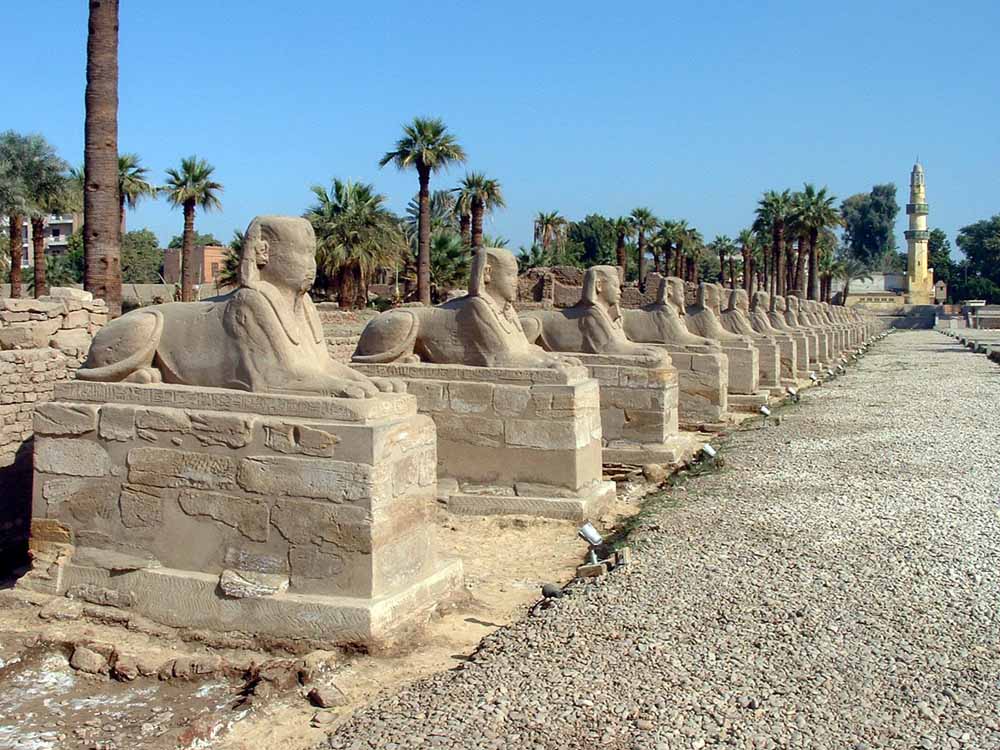 283 - Avenue of Sphinxes - Luxor Temple