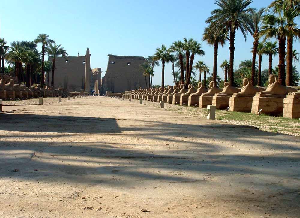 285 - Avenue of Sphinxes - Luxor Temple