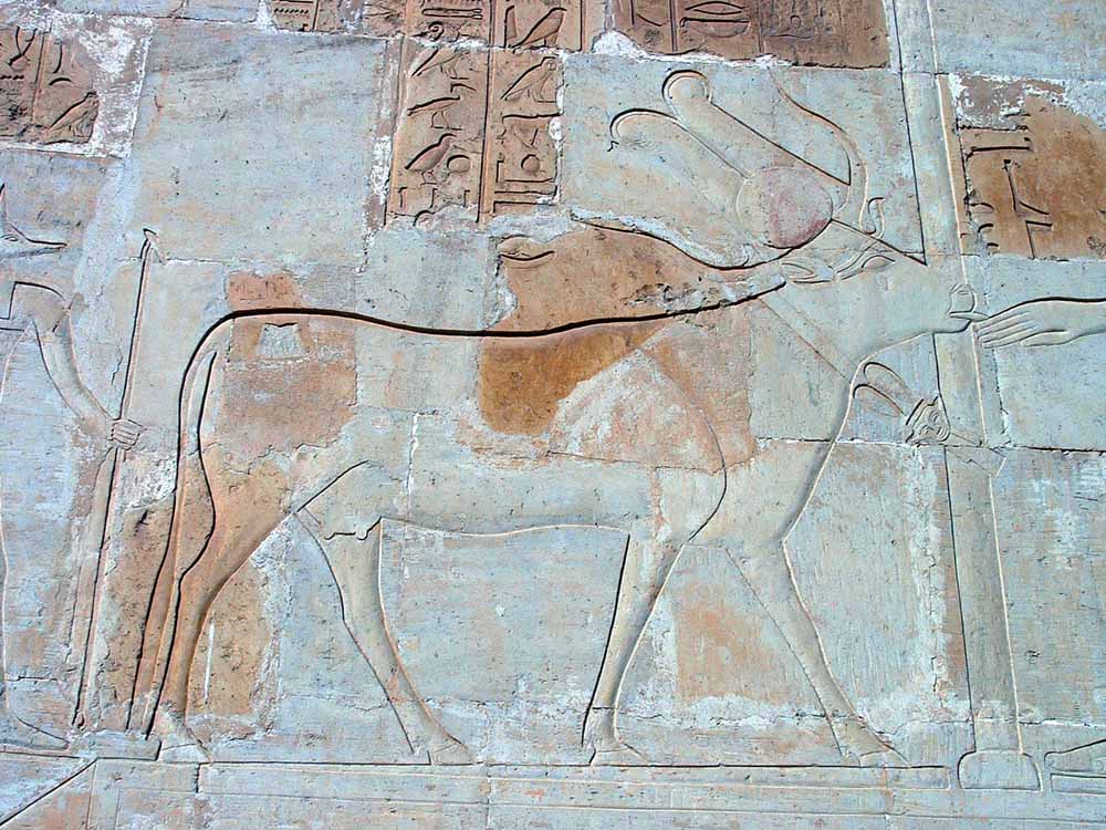 370 - Hathor Shrine Hatshepsuts Temple - Luxor