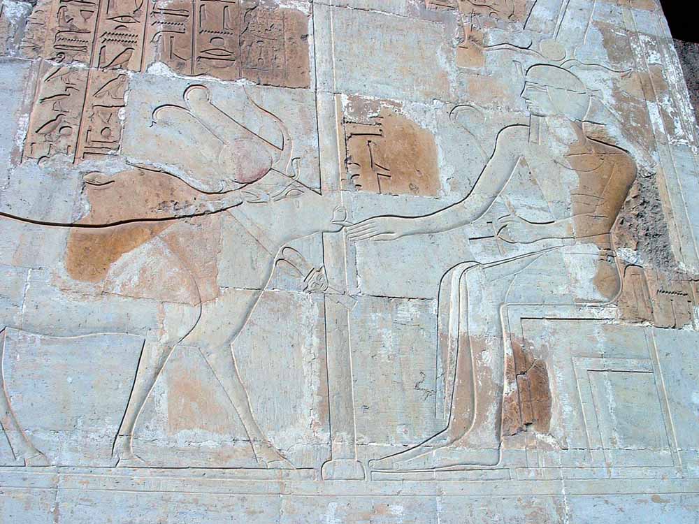 371 - Hathor Shrine Hatshepsuts Temple - Luxor