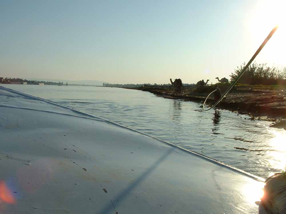 630 - Towing the Felucca - Luxor