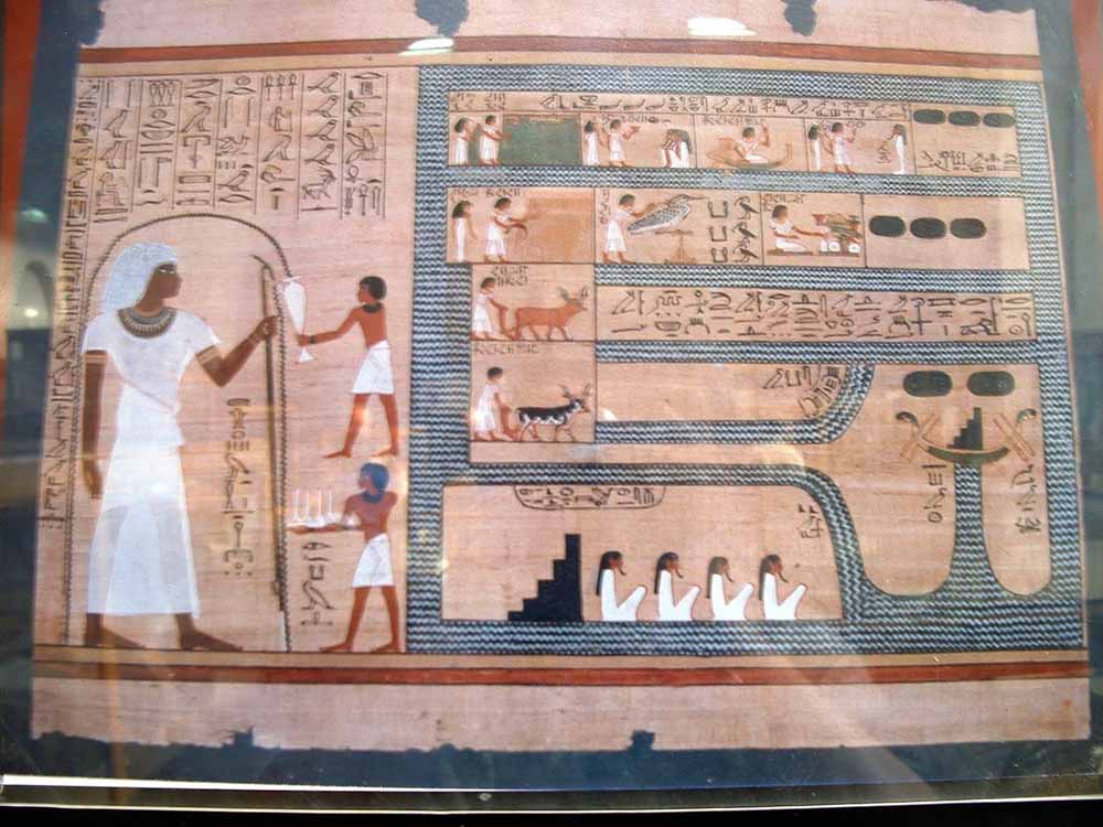 712 - Papyrus - Egyptian Museum