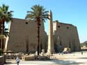 279 - Luxor Temple