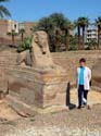 284 - Michelle with Sphinx - Luxor Temple