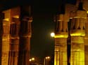 342 - Luxor Temple at Night