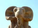 385 - Ram Headed Sphinx - Karnak