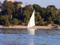 637 - Felucca on the Nile - Luxor