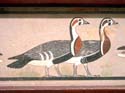 711 - Meidum Geese - Egyptian Museum